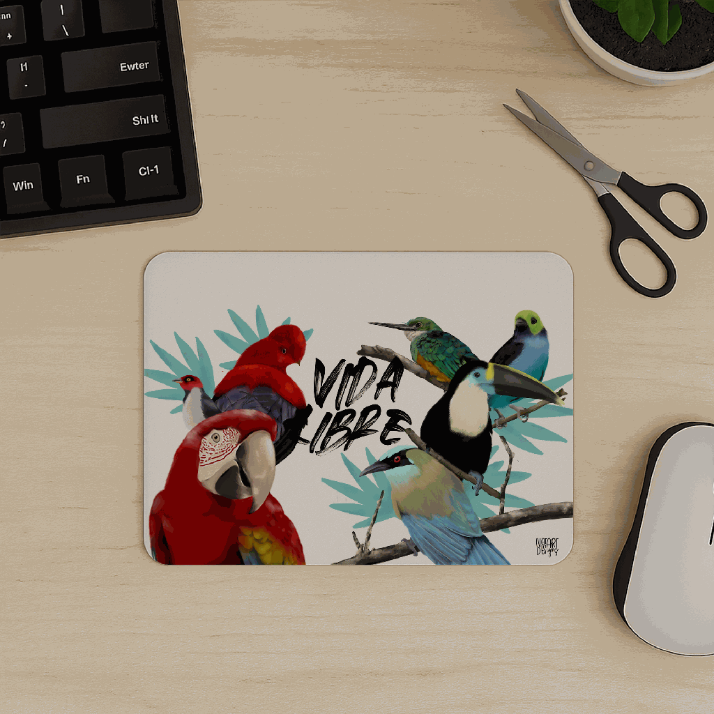 aves2.png