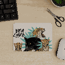 felinos2.png
