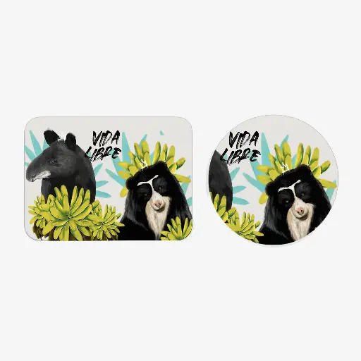 Mouse Pad Andino
