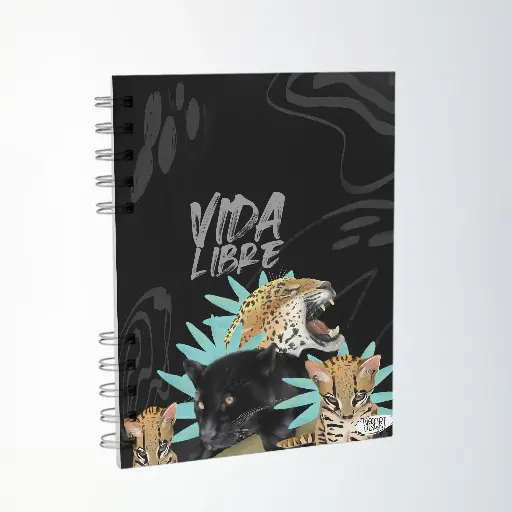 Agenda felinos