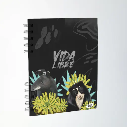 Agenda andina