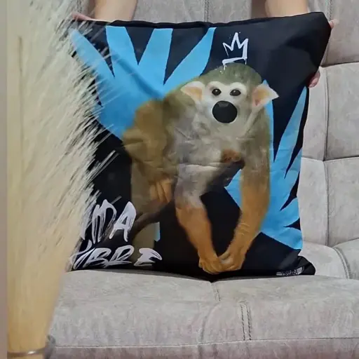Funda cojín Saimiri 